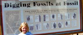 Summer with sign describing fossile digging